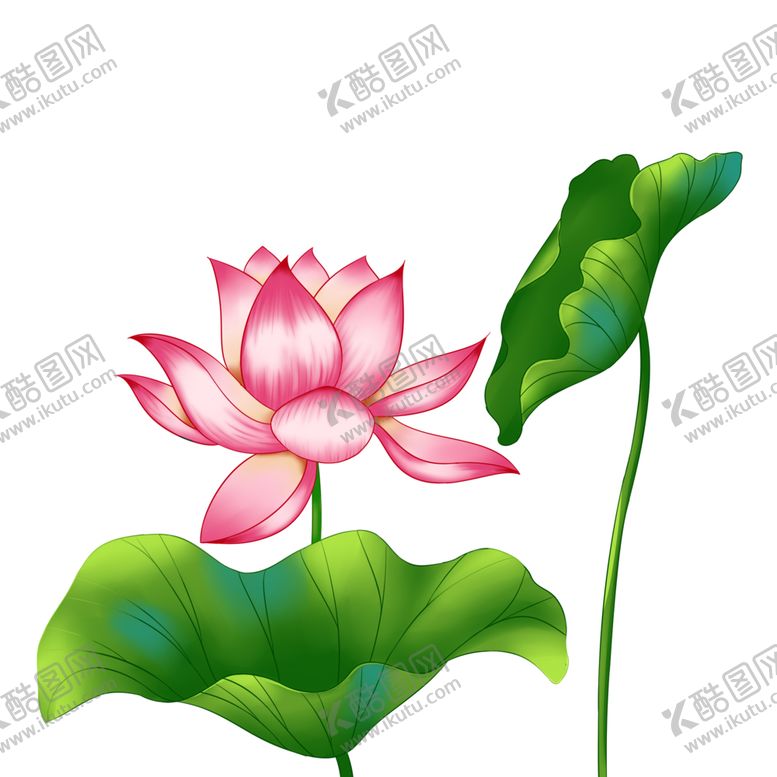编号：95488805010921346043【酷图网】源文件下载-荷花元素