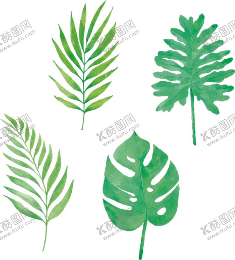 编号：34332204240315153804【酷图网】源文件下载-绿植花卉