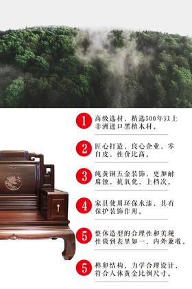 红木家具海报介绍简介卖点黑檀木