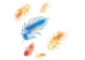 羽毛