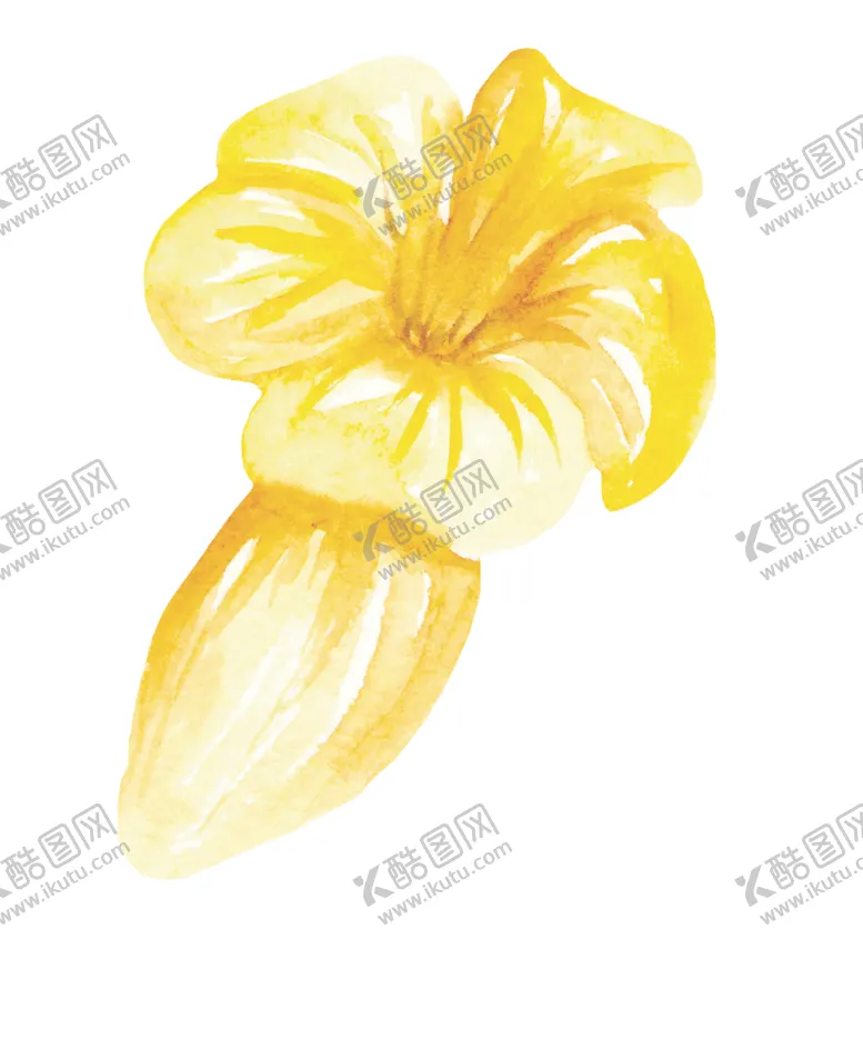 编号：79456506240146031203【酷图网】源文件下载-水彩植物花朵图案