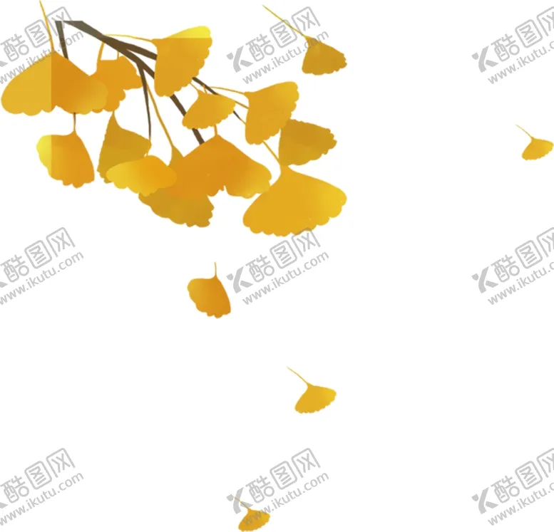 编号：42185502110918133471【酷图网】源文件下载-银杏叶