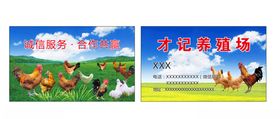 蛋鸡养殖场名片