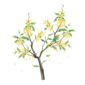 手绘桂花png免抠素材广告设计PNG中国画茶中国风