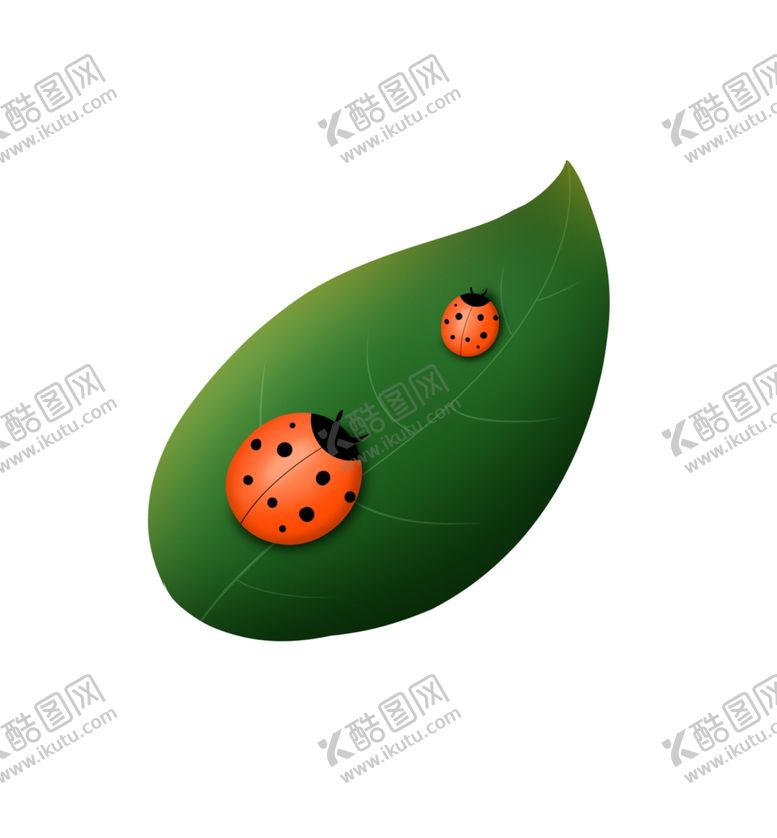 编号：49061504271233345440【酷图网】源文件下载-手绘瓢虫素材