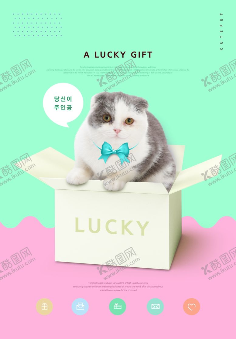 编号：81718309260432236005【酷图网】源文件下载-宠物海报