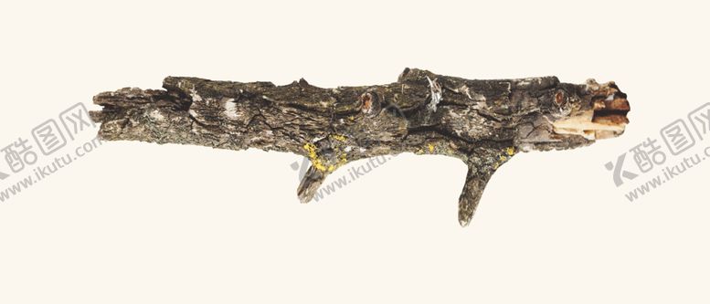 编号：58001510062157055903【酷图网】源文件下载-树枝枯枝