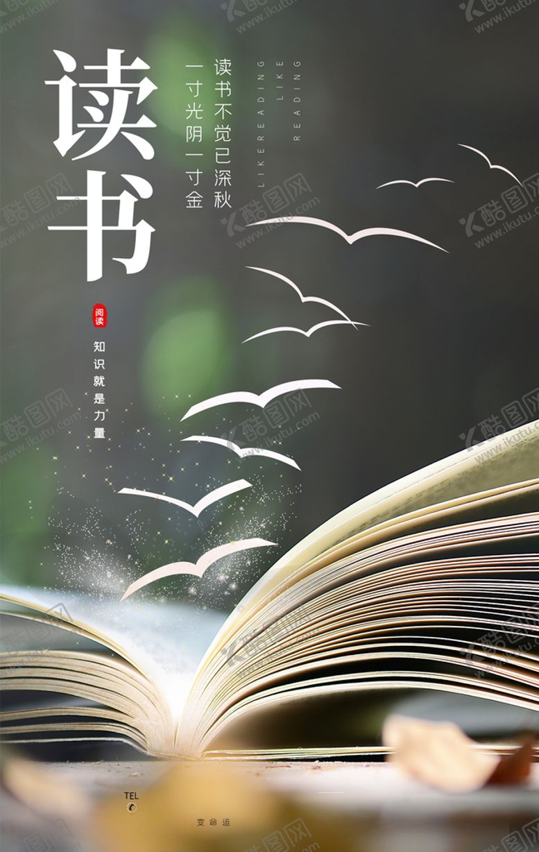 编号：64387007032002168225【酷图网】源文件下载-阅读海报