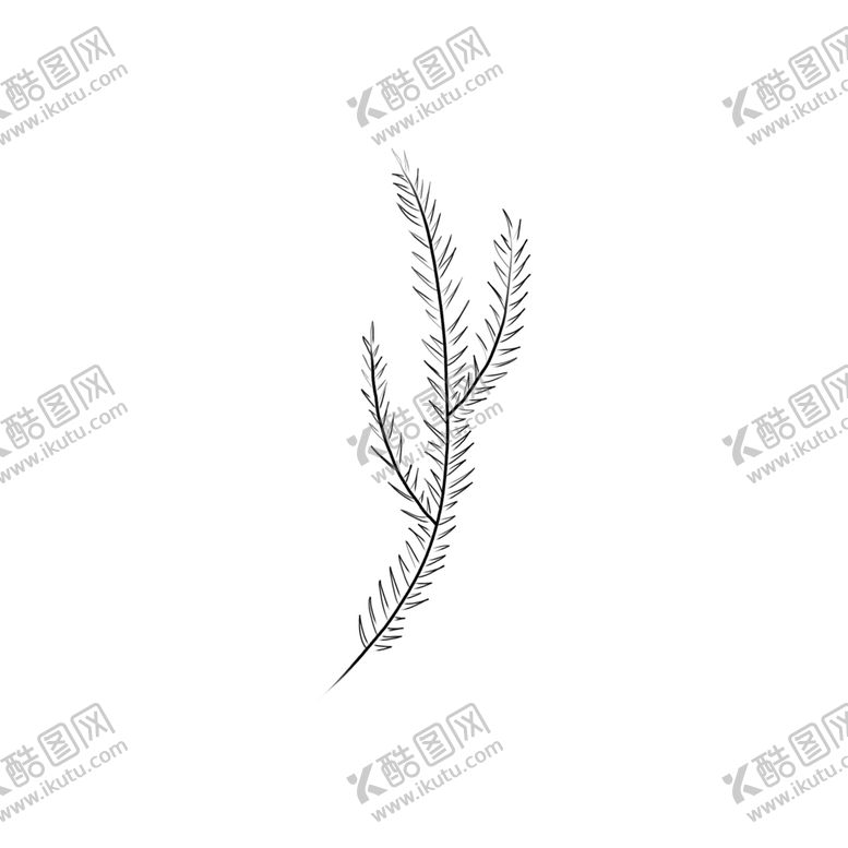 编号：30801009131132025146【酷图网】源文件下载-手绘植物叶片