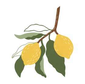 手绘柠檬PNG免抠
