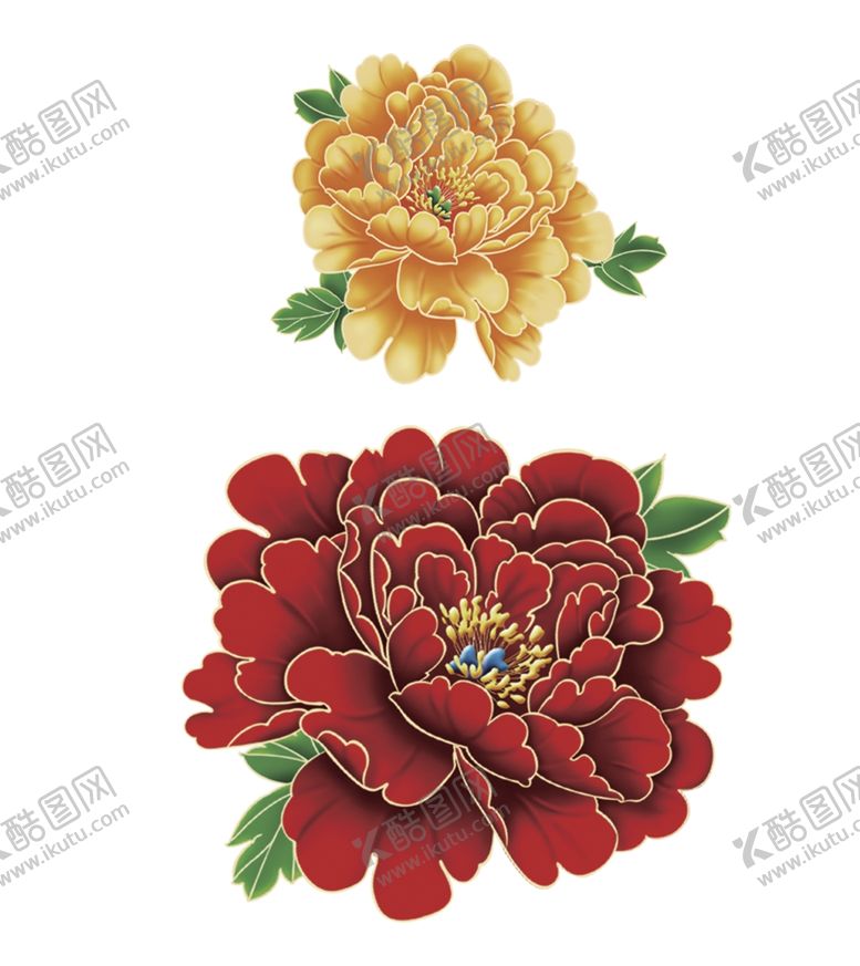 编号：19711210111900037407【酷图网】源文件下载-牡丹花