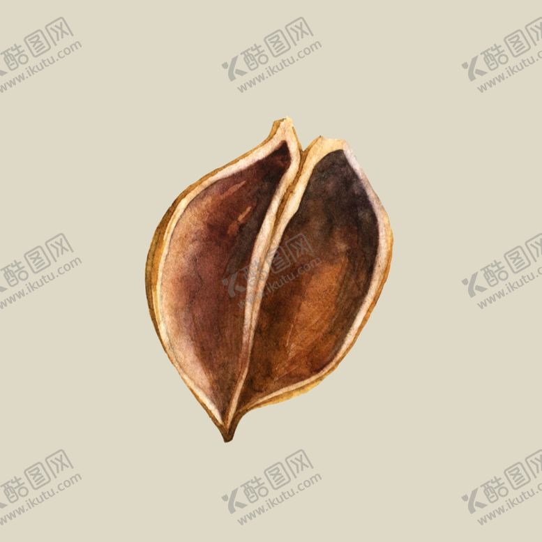 编号：88734710300914121445【酷图网】源文件下载-水彩植物