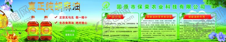 编号：75542405051958094779【酷图网】源文件下载-胡麻油宣传