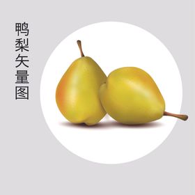 手绘梨香梨鸭梨