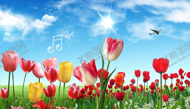 编号：93157103312141399705【酷图网】源文件下载-郁金香