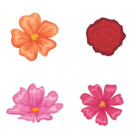 手绘鲜花
