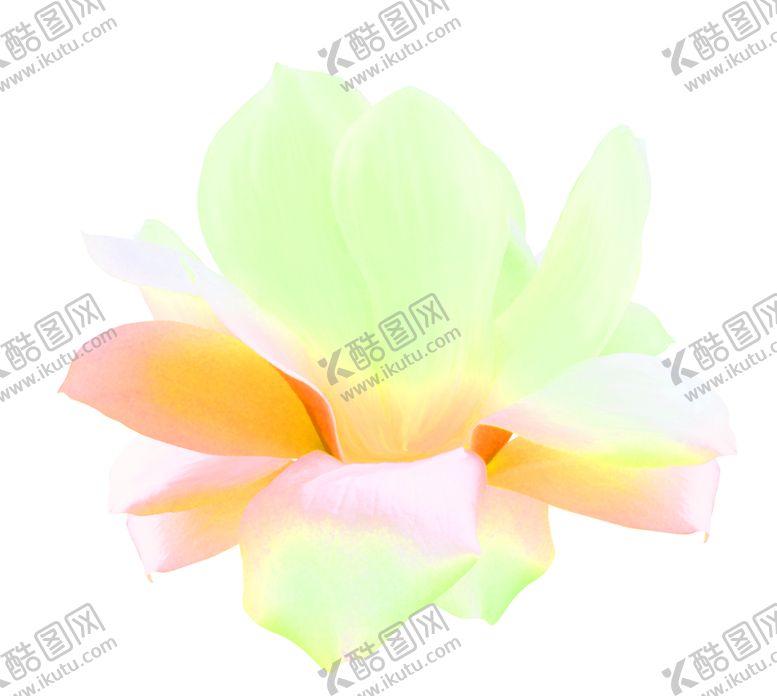 编号：20026006240650102445【酷图网】源文件下载-花素材