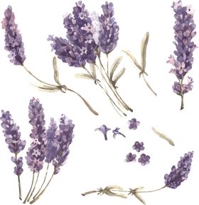 鲜花欧式边框