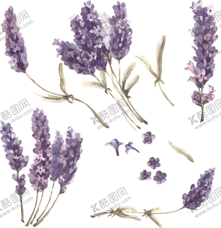 编号：26861309140952532431【酷图网】源文件下载-鲜花欧式边框