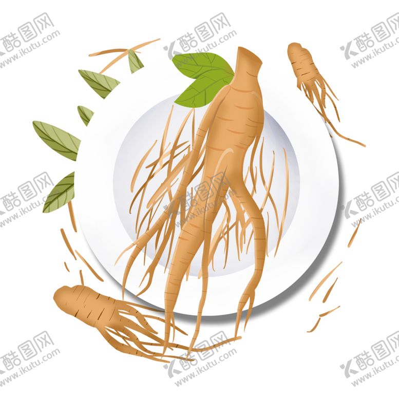 编号：25335509231854242736【酷图网】源文件下载-草本植物