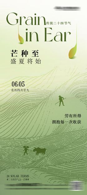 芒种创意节气海报