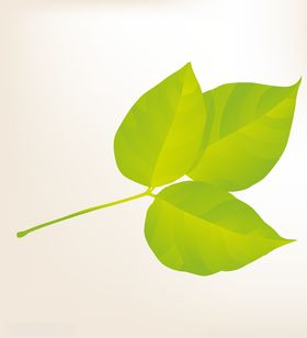 商务图标办公图标生活图标