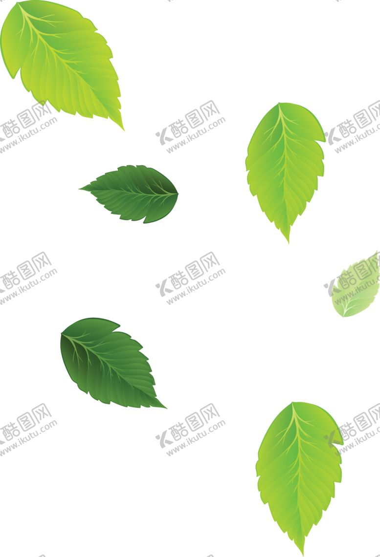 编号：39425209281307083413【酷图网】源文件下载-飘落的绿叶