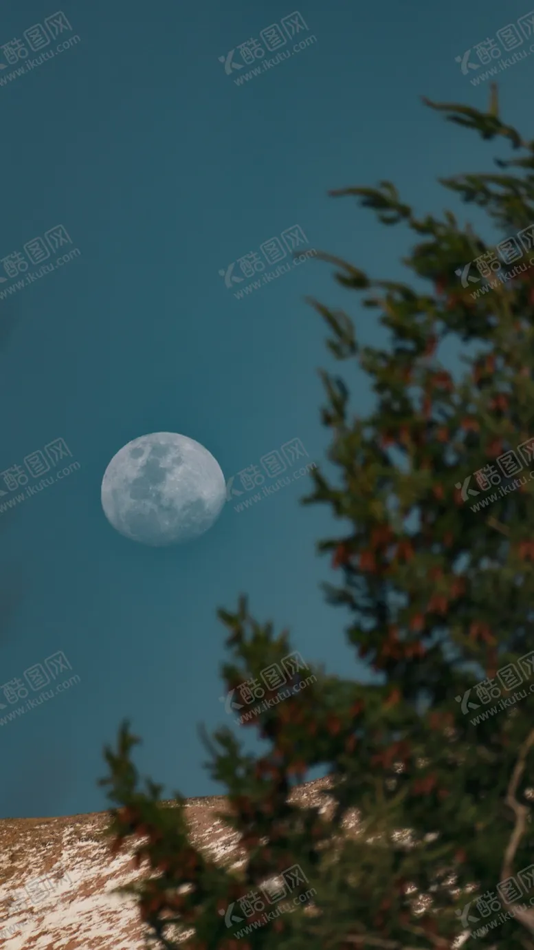编号：63805409170034019840【酷图网】源文件下载-月亮