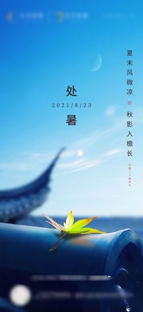 地产处暑小暑节气海报