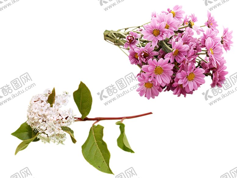 编号：84089409121256505632【酷图网】源文件下载-绿色植物