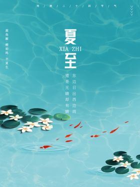 清新凉爽夏至海报