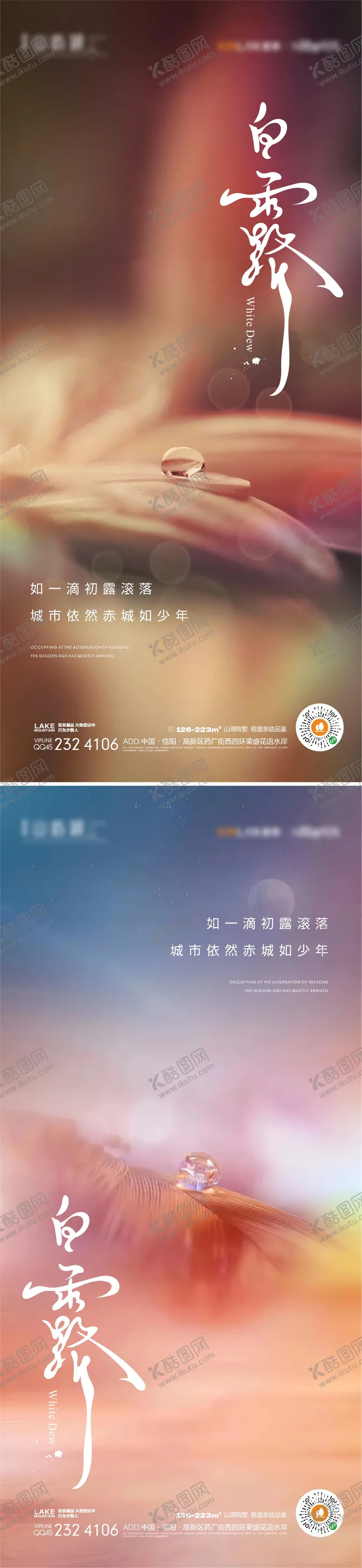 编号：31962311210602257001【酷图网】源文件下载-白露海报