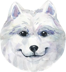 卡通动物