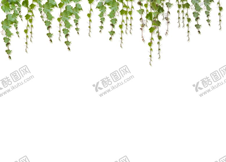 编号：10481409171638316358【酷图网】源文件下载-绿色背景