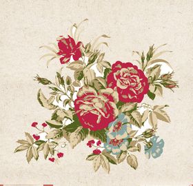 矢量动物矢量植物插画手绘