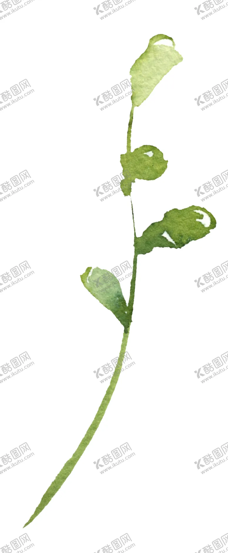 编号：58454812261036479269【酷图网】源文件下载-花卉背景 
