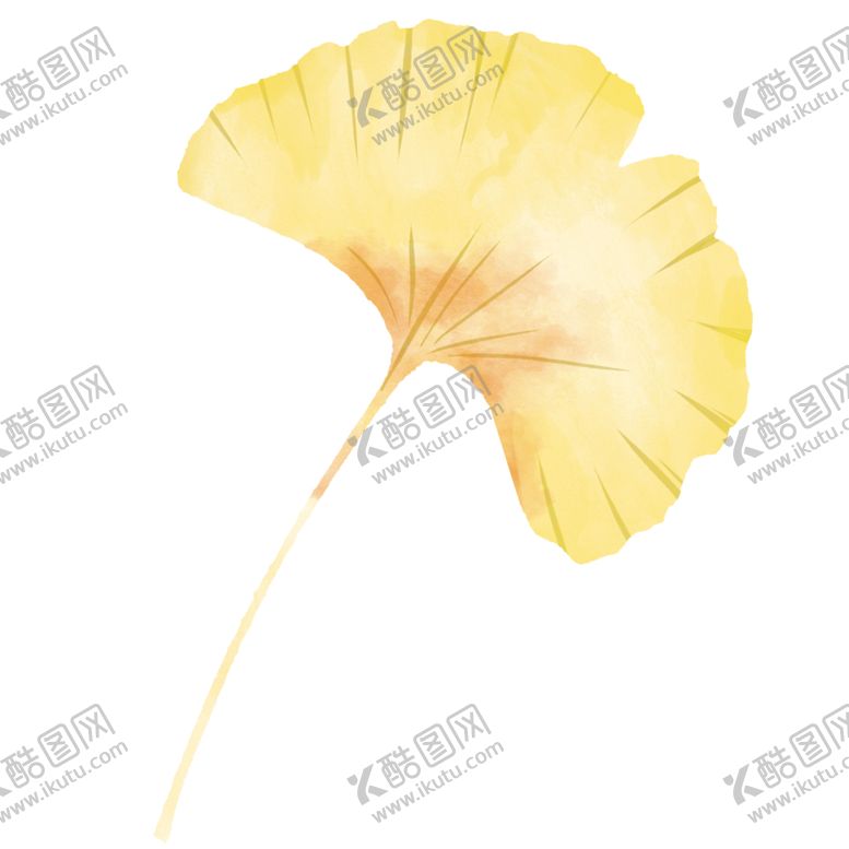 编号：65362504280236198702【酷图网】源文件下载-秋天银杏叶
