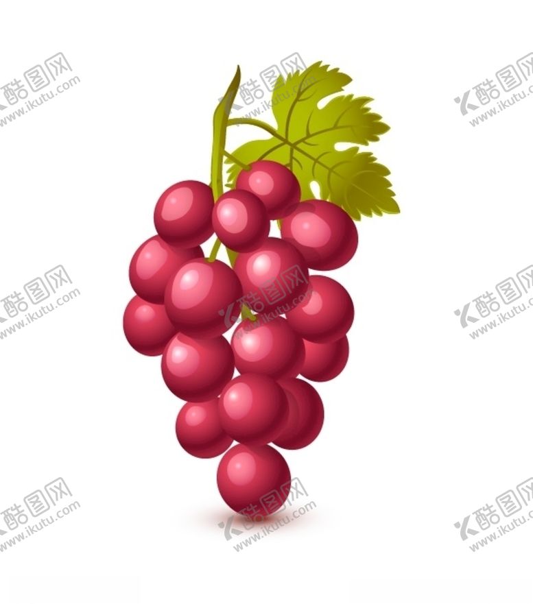 编号：42073810270220109112【酷图网】源文件下载-葡萄