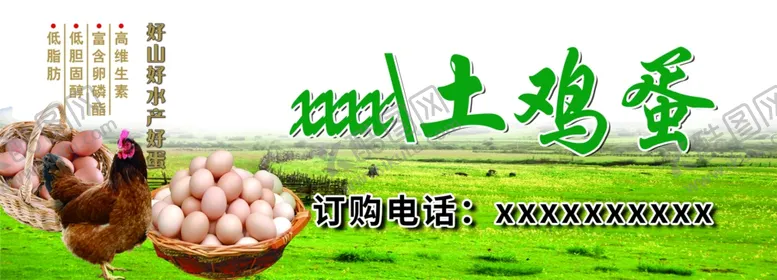 编号：93178002221327557542【酷图网】源文件下载-土鸡蛋不干胶