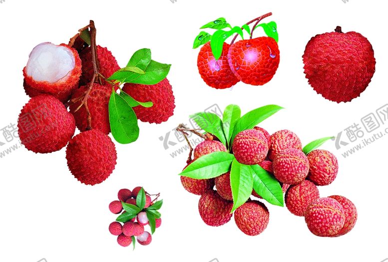 编号：93835710090007104068【酷图网】源文件下载-荔枝素材