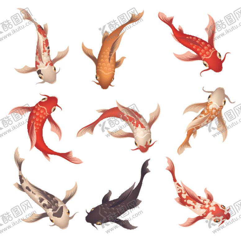 编号：54628609231709338681【酷图网】源文件下载-鱼儿