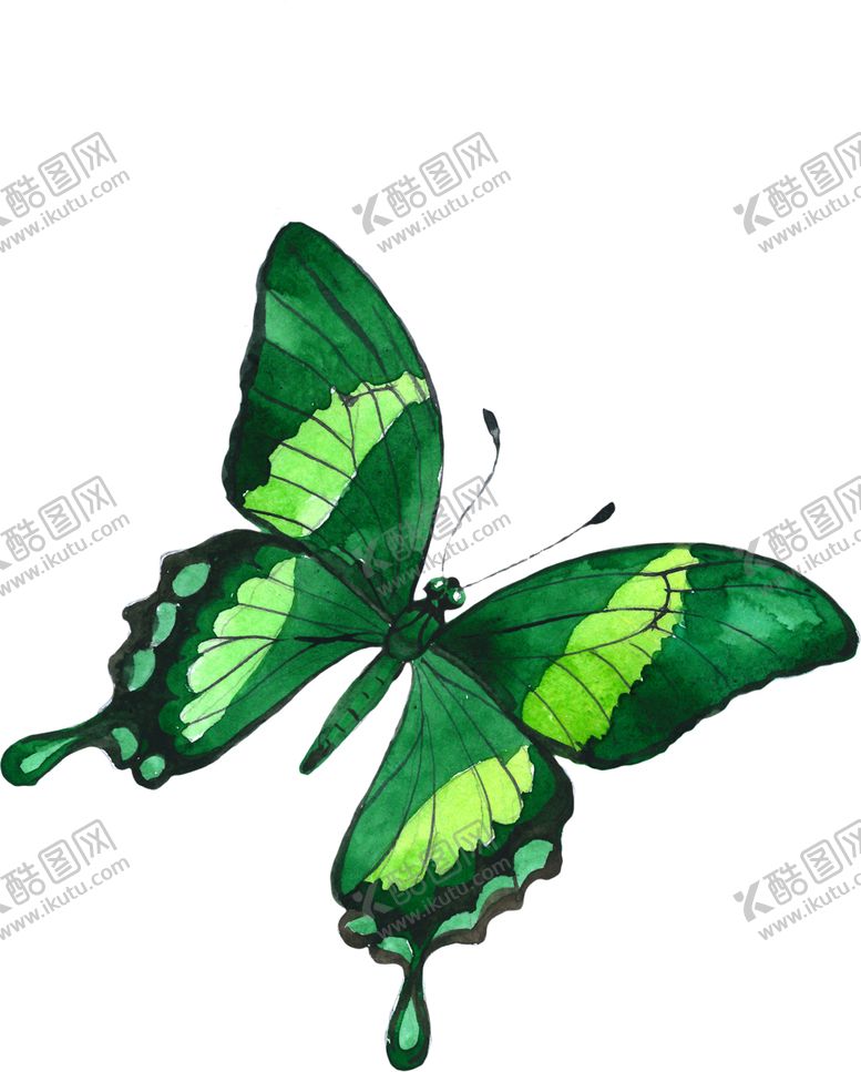 编号：58305109202247563382【酷图网】源文件下载-手绘彩蝶