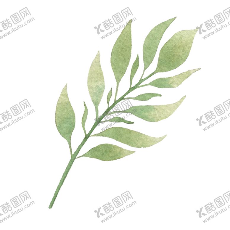 编号：42294102041418001677【酷图网】源文件下载-水彩树叶树枝