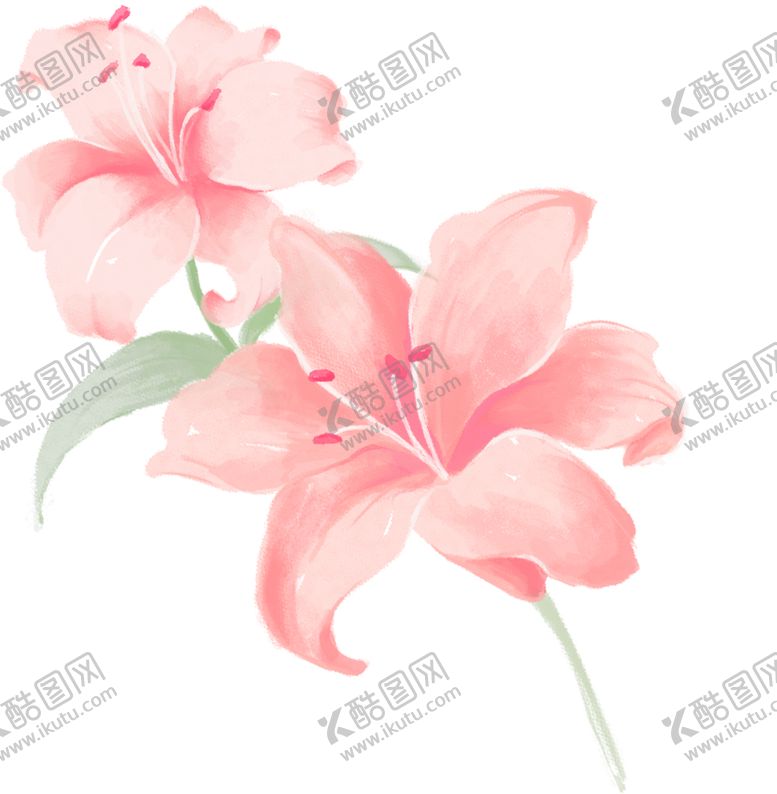 编号：31526802240623326398【酷图网】源文件下载-PNG免扣花朵
