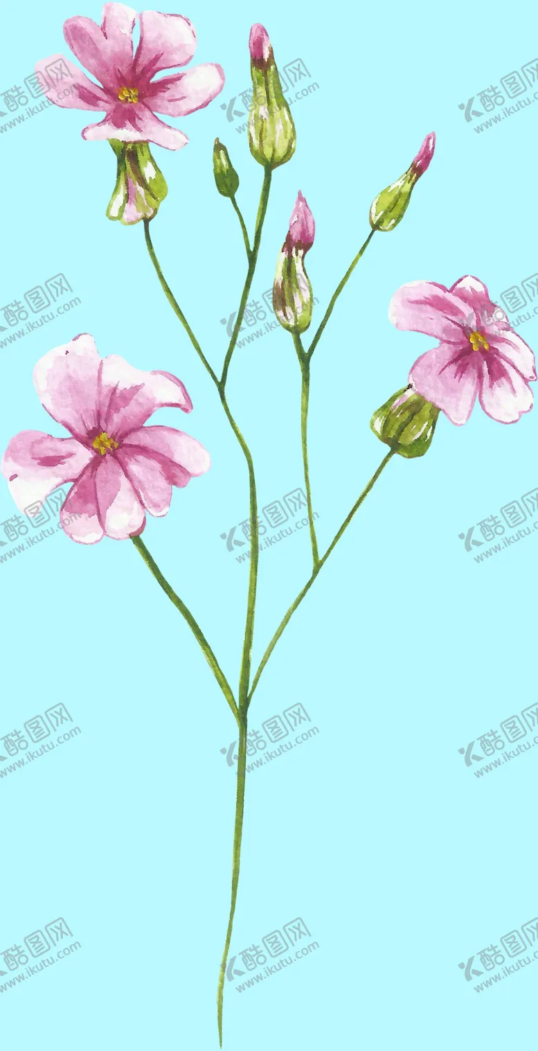 编号：72235209191433539635【酷图网】源文件下载-花卉树叶