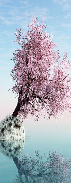 挂画