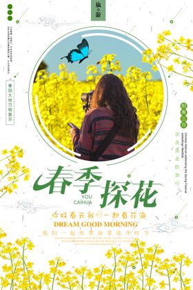 油菜花