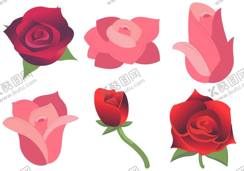 玫瑰花鲜图案爱情