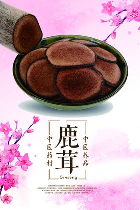 鹿茸