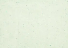 宣纸